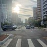 O mundo é um moinho 的头像