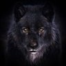 Profilbild von ~BlackWolf~