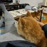 J profil fotoğrafı