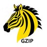 Gen Z International Party 🦓's profile picture