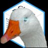 Profilbild von Hoร ng Vit