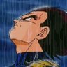 Profilbild von ☯️💪Vegita_Lee 🥊