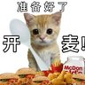 mansoryRS6's profile picture