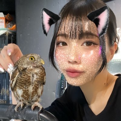 れい @RESERVOIR.exotics's profile picture