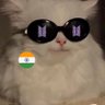 KTPeriPeri 🇮🇳 的头像
