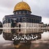مثلث الرعب's profile picture