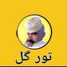 Profilbild von تور گل خان
