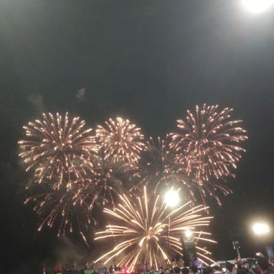 ThisudSud's profile picture