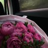 خديجة الشريف 的头像