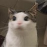 Profilbild von Naaa