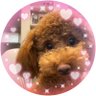 Profilbild von ぷーママ🧸🍯