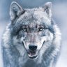Фото профиля Loup de Gaule