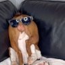 Danny Ledge's profile picture
