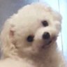 Profilbild von hitomi