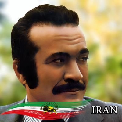 RadmanIrani's profile picture