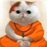 Ti Tu☪️☪️'s profile picture