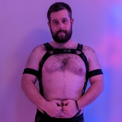 Koltybear's profile picture
