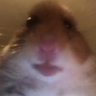 $Hami's profile picture