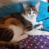 Durand Mélanie profil fotoğrafı