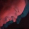 Gary Mitchell's profile picture