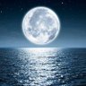 MoonLight🚀🟧꧁IP꧂(✸,✸) profil fotoğrafı