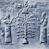 Фото профиля robert41800