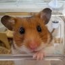 はやゆう 的头像