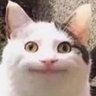 Skoltㅤ's profile picture