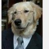 woof 的头像