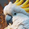 雁木まり profil fotoğrafı