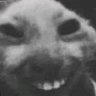 osama husain's profile picture