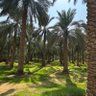 عبدالله البشري المزيني profil fotoğrafı