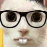 LiquidDogMan's profile picture