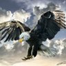 Siyah.beyaz.🦅's profile picture