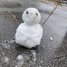 ヒロキ profil fotoğrafı