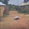 Oma Igala 的头像