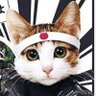 nekoname 的头像
