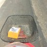 มาส่งของ 的头像