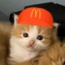 猫猫 profil fotoğrafı