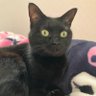 みずきち profil fotoğrafı
