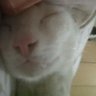Profilbild von andi