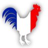 Profilbild von Tauriac🇫🇷Juste courage réduire train vie Etat🦣