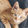 とも profil fotoğrafı