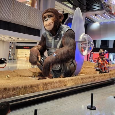 HclZn's profile picture