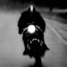 Ray M's profile picture