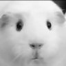 Profilbild von はひふへ4