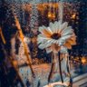 Rehan Khokhar profil fotoğrafı