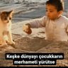 Фото профиля Memet Hintoglu