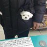 Profilbild von 心之助丞
