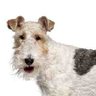 mundtsein's profile picture